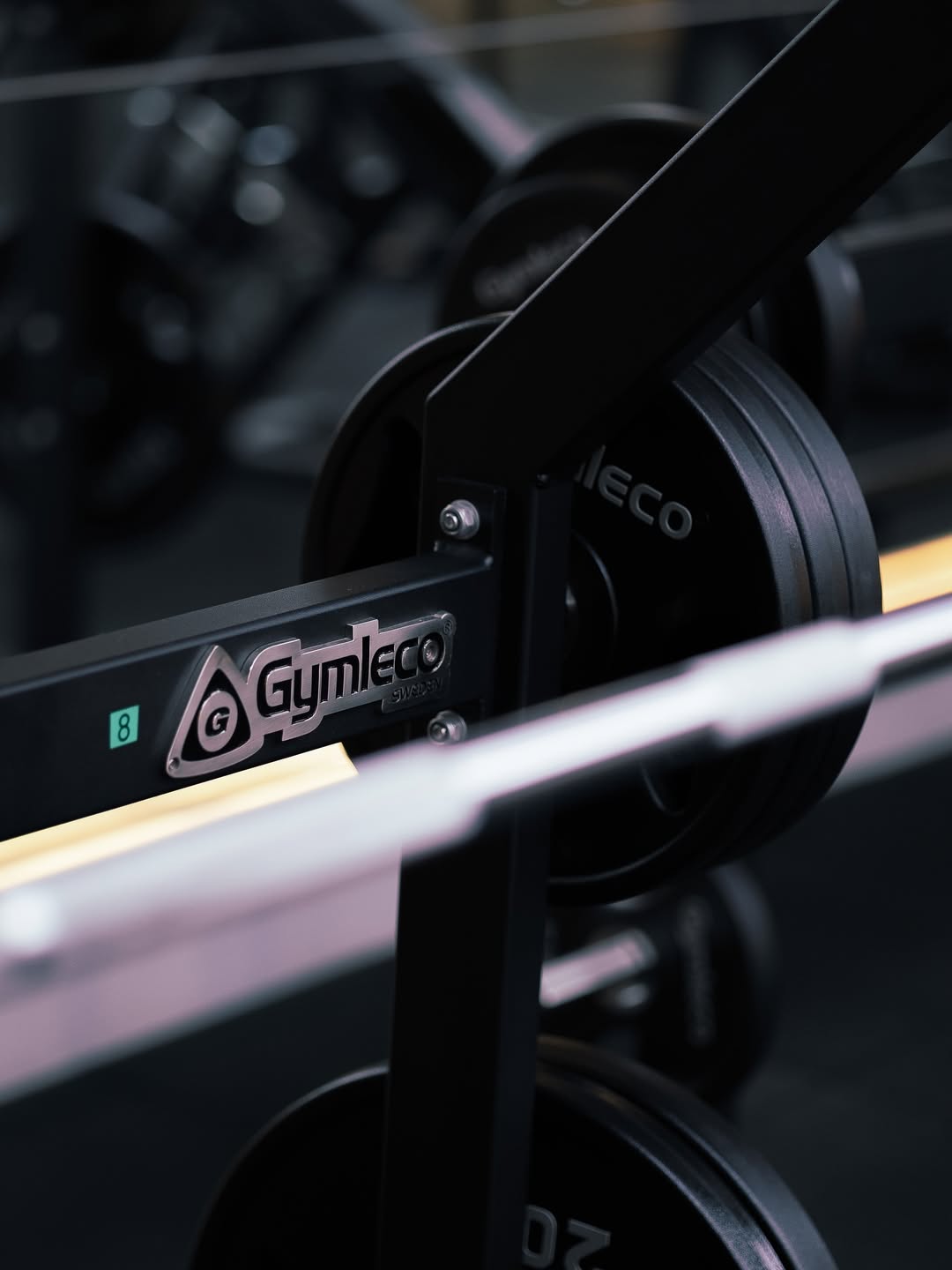 Gymleco equipment at UnReal Gym
